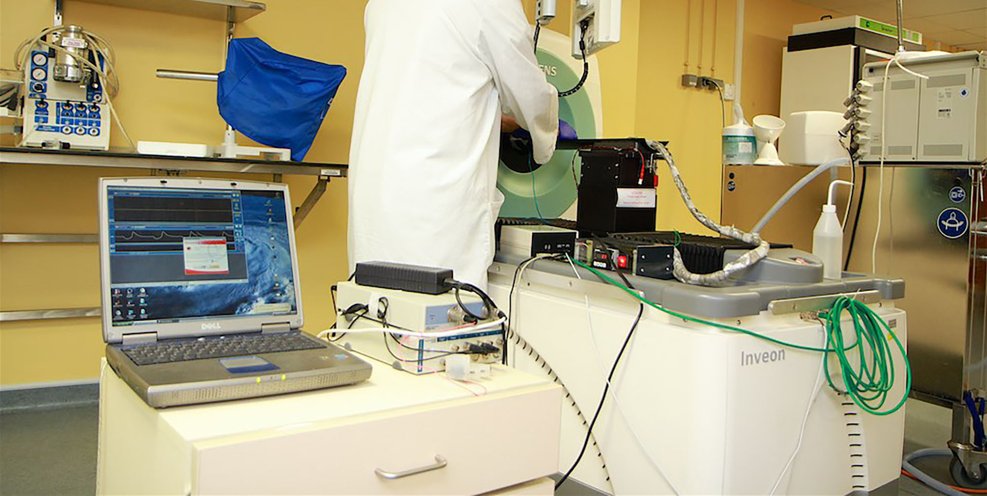 Examen d’imagerie TEP/CT chez le petit animal